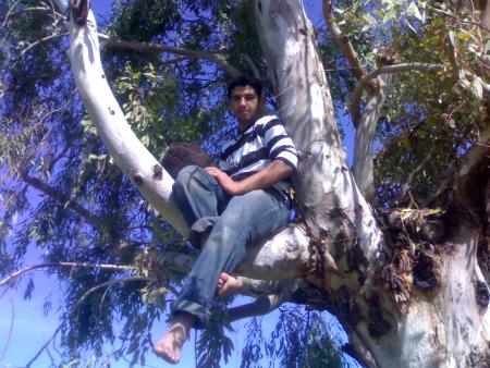 gals  hadi 